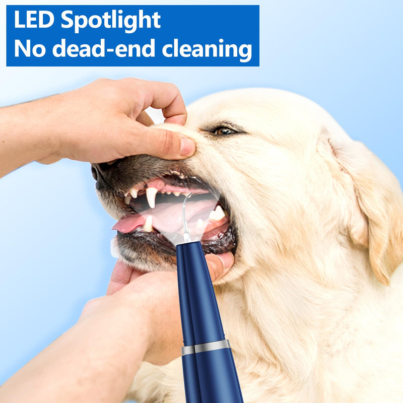 Dog Plaque Remover for Teeth,Pet Ultrasonic Tooth Cleaner,Teeth Cleaning Kit -Tartar Remover for Teeth Stains for Dogs and Cats (Blue) Blue - BeesActive Australia