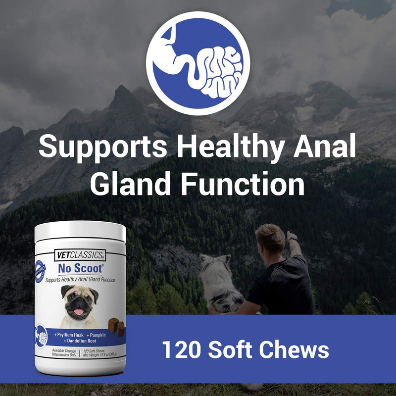 Vet Classics No Scoot Dog Supplements for Healthy Anal Gland Function – Support Normal Bowel Functions, Anal Glands – Increases Daily Fiber Intake for Dogs – 120 Soft Chews - BeesActive Australia