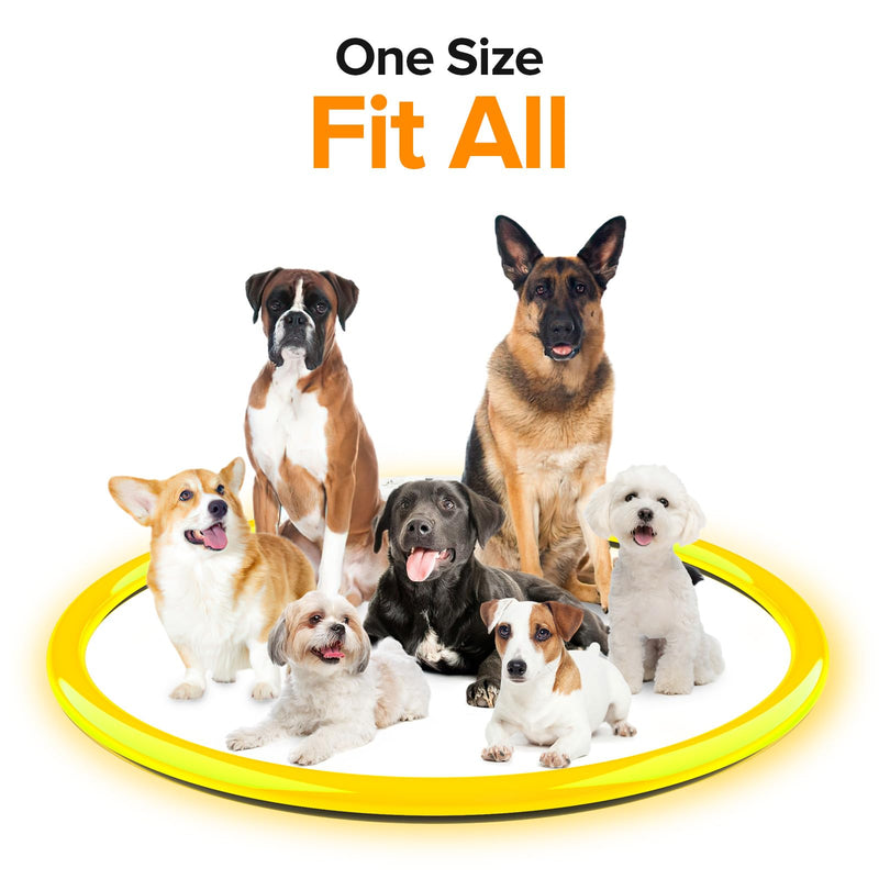 PcEoTllar Luminous Dog Collar Rechargeable with 7 Colors, Luminous Collar for Small and Large Dogs, 9 Lighting Modes Luminous Dog Collar Can be Dismantled to 70cm, LED Collar for Dogs - BeesActive Australia