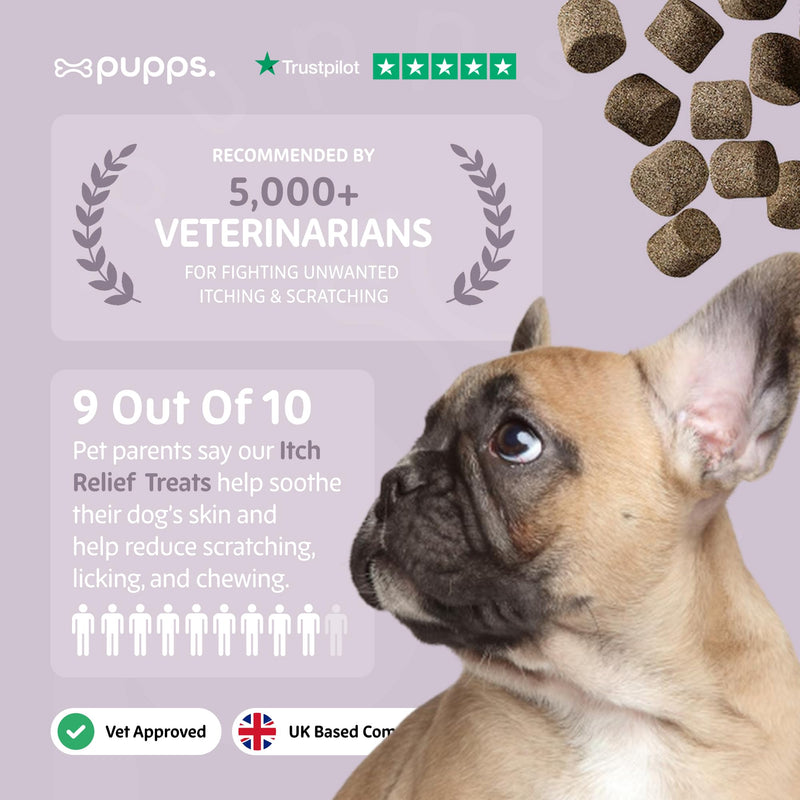 Pupps Itch Relief Dog Treats – 120 Natural Anti-Itch Chews for Dogs | Soothes Itchy Skin, Paws & Ears | With Colostrum, Turmeric & Salmon Oil | Allergy & Skin Support | Vet Approved, UK Made 120 x Chews