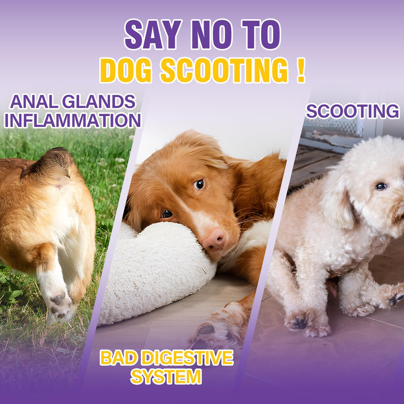 Dog Anal Gland Soft Chews 150 Stop Scoot for Dogs Supports Anal Gland Bowel Function Digestive Health Fiber Pumpkin Supplement for Dogs Pet Diarrhea Bowel Support Probiotics Digestive (Chicken Flavor) 150 Count(Pack of 1)