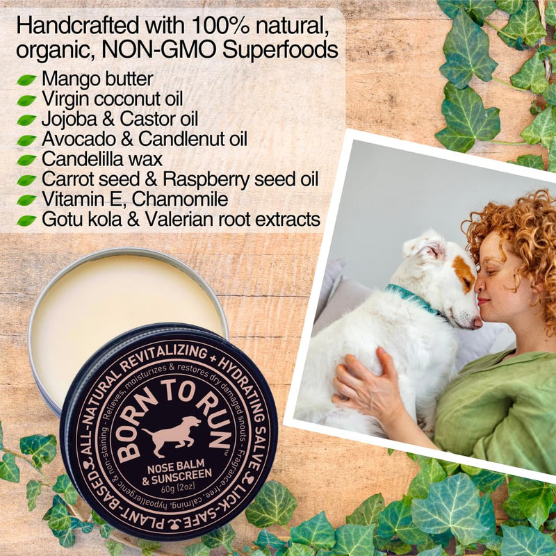 Born To Run Dog Nose Balm | Dry Cracked Chapped Snout Soother | Moisturizes Heals Natural Sunscreen & Cold Winter Protection | Hyperkeratosis Relief Plant-Based Fragrance-Free Lick Safe Nose Cream 2oz - PawsPlanet Australia
