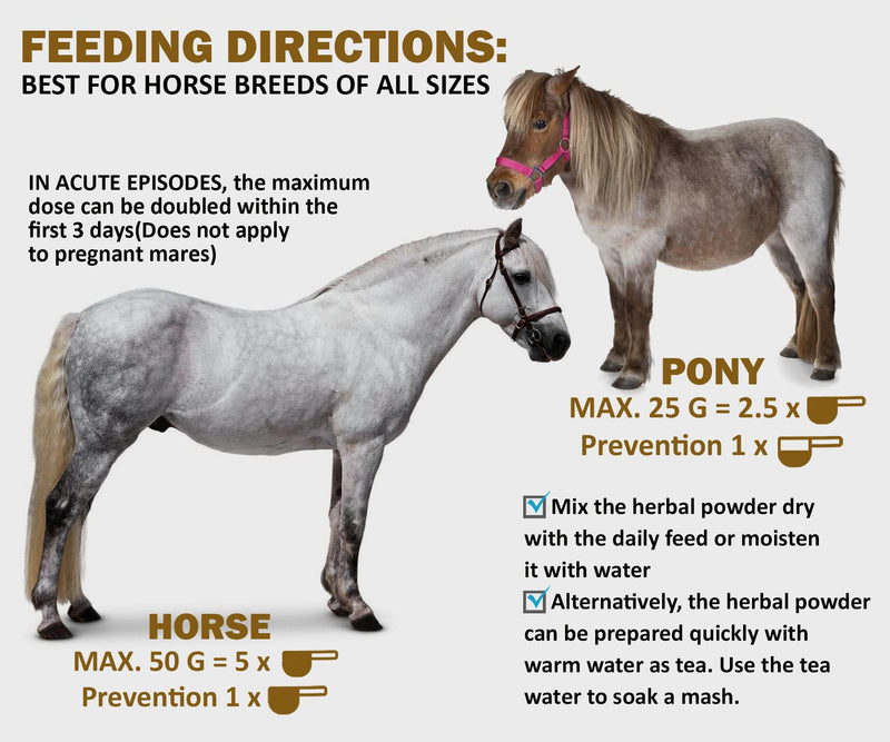 V-POINT - Laminitis Ease - hoof supplements for horses - horse hoof care product based on natural herbal powder - Ideal for hooves Health and Conditioning (1.0 lb) - BeesActive Australia