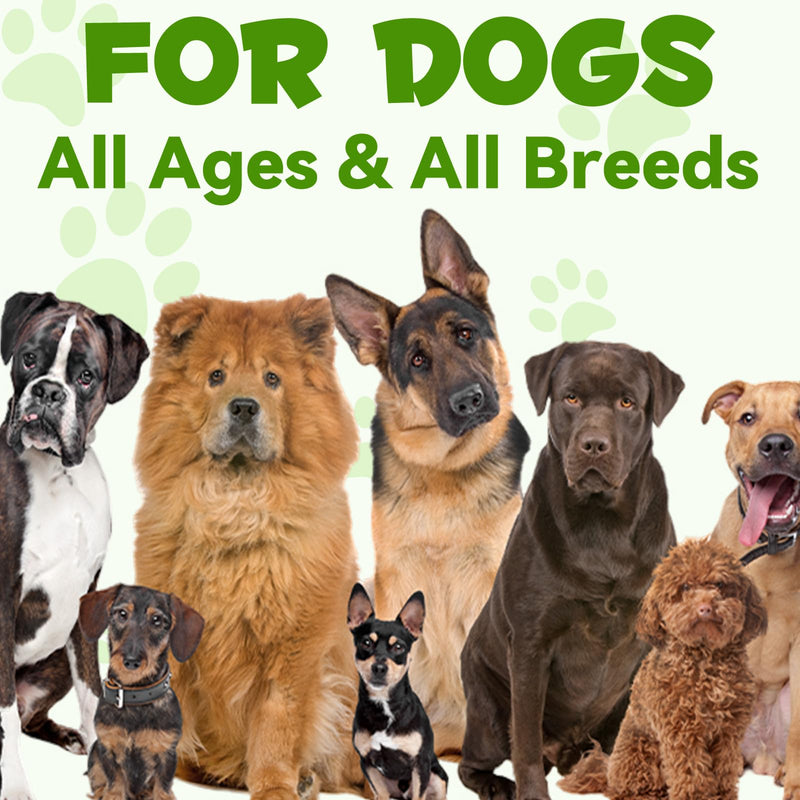 Oimmal Probiotics for Dogs, 3 in 1 Dog Probiotic and Digestive Enzymes for Pet, Supports Gut Health, Itchy Skin, Allergies, Immunity, Liquid Probiotics for for All Ages and Breeds Dogs, blue