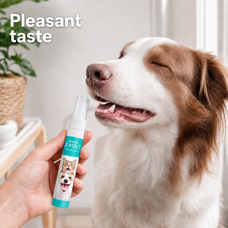 ARTERO X-Mint. Instantly removes bad breath from your dog or cat. Maintains oral hygiene. Pleasant taste. Protects enamel. Easy to apply with diffuser spray.