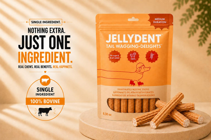 Jellydent Dog Dental Chews – Single Ingredient Beef Skin Chews for Plaque & Tartar Control – High Protein Natural Treats for Adult Dogs (10 Count, 5.15 oz)