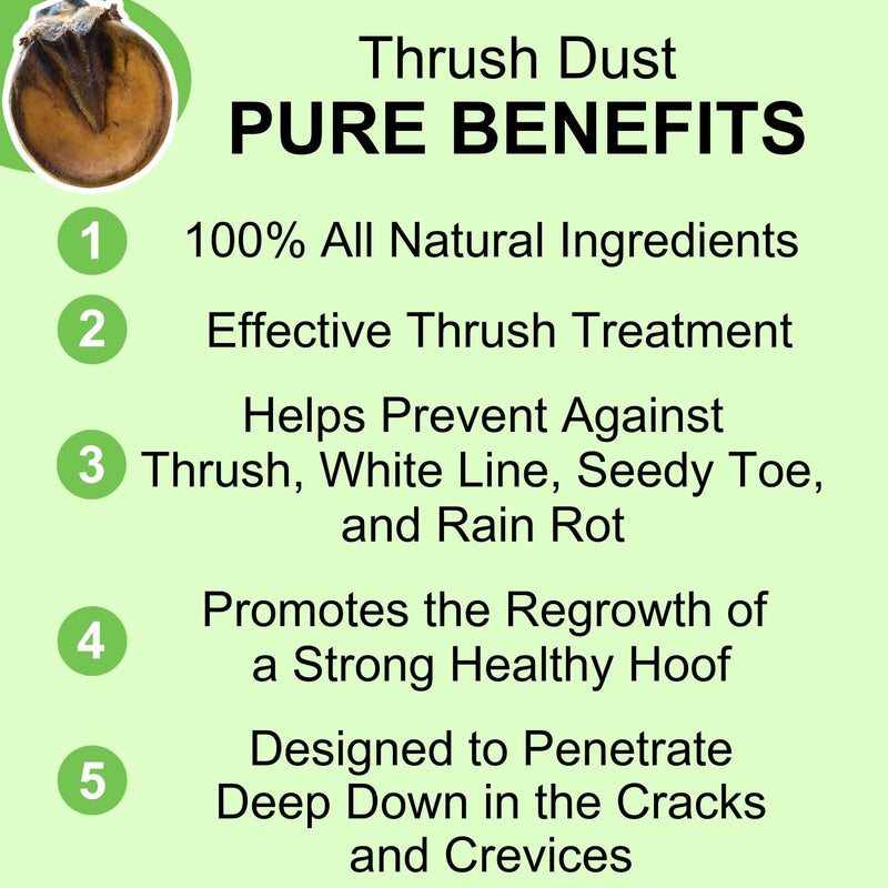 Thrush Dry Powder Treatment for Horses Thrush Dust - an All Natural Powder for Thrush Treatment 4 oz. - BeesActive Australia