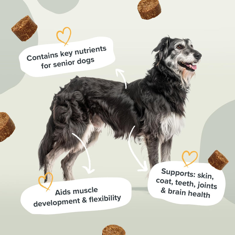 Senior Support Soft Chew Dog Supplements - Daily Care for Senior & Adult Dogs – Supports Brain, Joint & Immune Health with Taurine, Turkey Tail Mushrooms & Omega 3 EPA & DHA – 60 Soft Chews 60 Chews