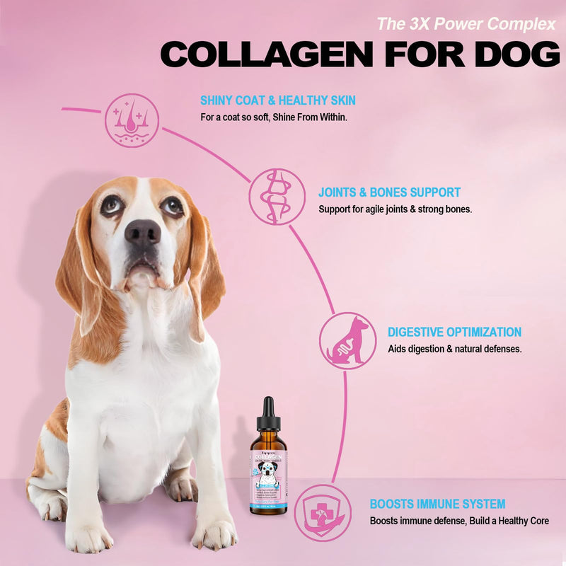 2PCS Collagen for Dogs,Daily Skin,Coat & Joint Support,Grass-Fed Peptides and Biotin,HA and Vitamin C|Bacon Flavour,60ml with Calibrated Dropper