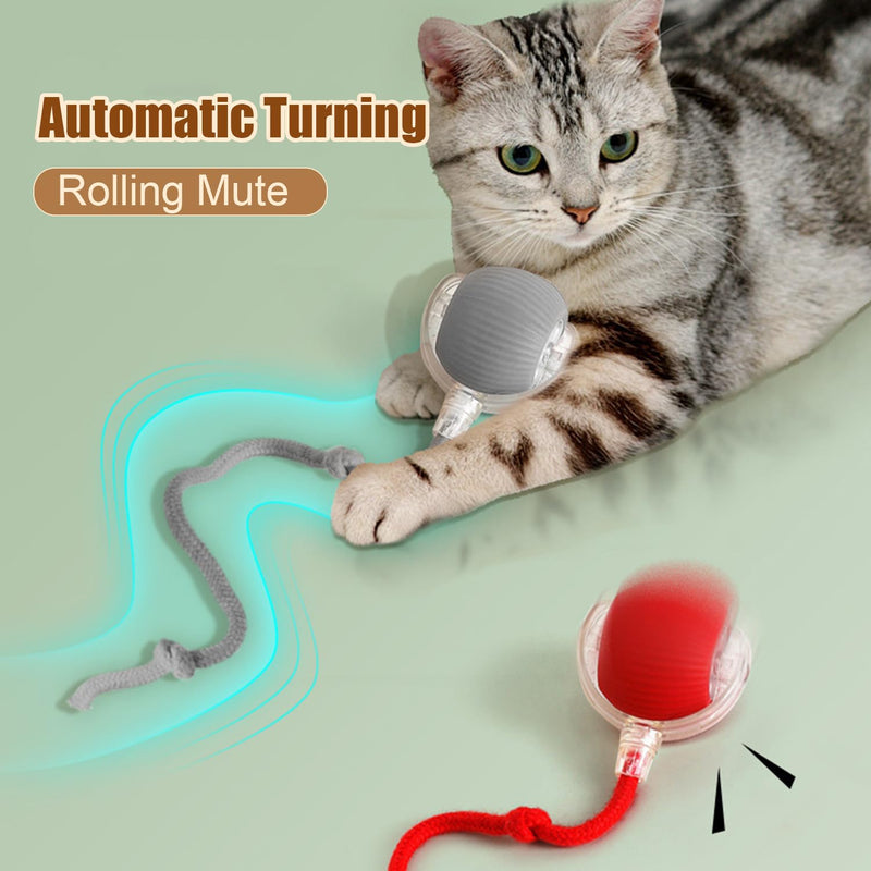 2PC Interactive Rolling Dog Ball,Interactive Dog Ball,Interactive Cat Ball Toy,Interactive Cat Dog Toys Ball Fast Rolling,360° Smart Automatic Rolling Pet Ball (Green) 2PC Green