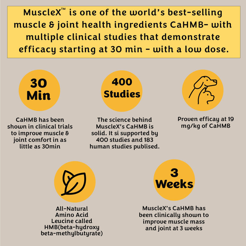 MuscleX™ Canine Muscle Formula Dogs with CaHMB 500 mg and Vitamin D3 - Natural Muscl Building Formula - Helps Reduce Muscle Loss Due to Normal Aging and Improves Recovery from Injury (90 Capsules)