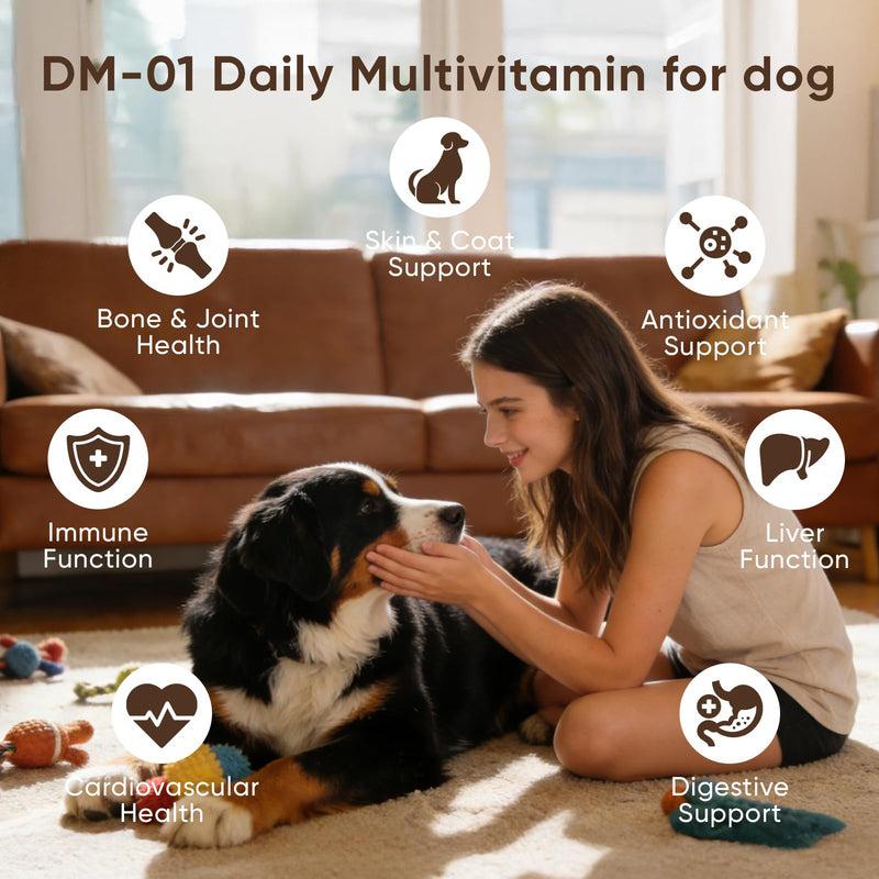 Daily Multivitamin for Dogs, Multivitamin Itch Relief Chews with Folic Acid, Salmon Oil, Probiotics & Vitamins, Skin and Coat Healthy, Gut Health & Boost Immunity, Beef Flavor, 60 Chew (1) 1