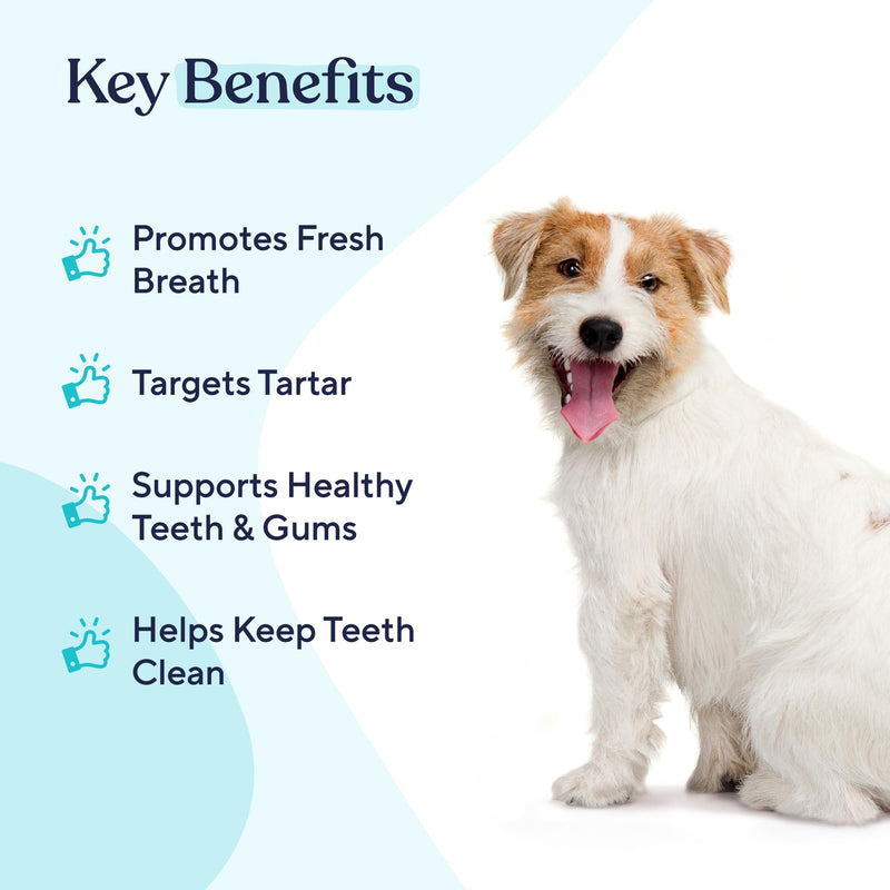 Pawfy Dog Breath Freshener with Specialized Dental Care Formula | Dog Teeth Cleaning & Mouthwash | Helps Freshen Dogs Breath with Easy Water Additive | Supports Plaque and Tartar Control - BeesActive Australia
