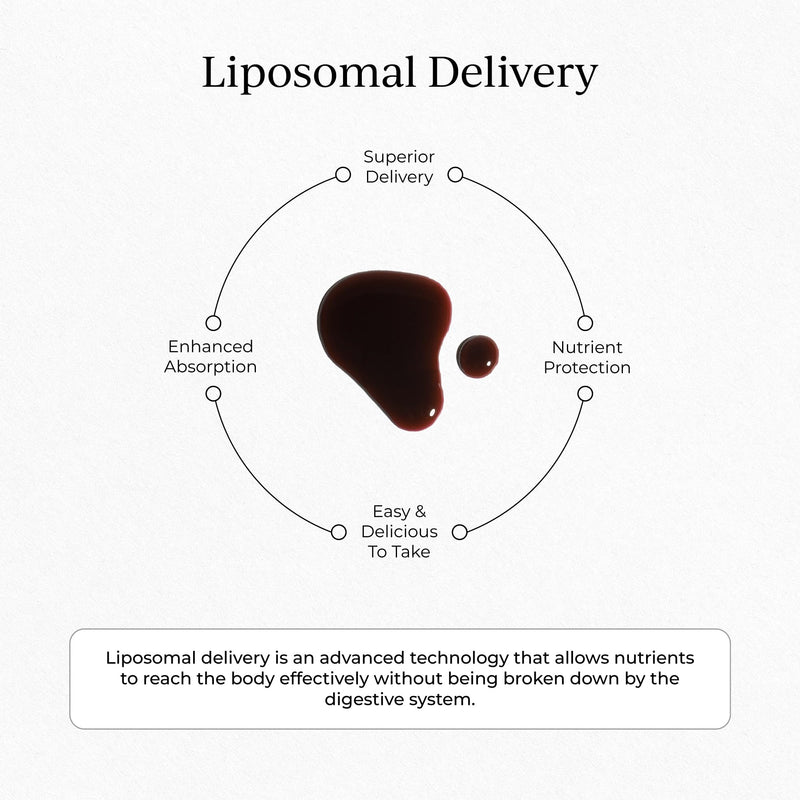 CYMBIOTIKA Liposomal Elderberry with Vitamin E for Immune Support | Organic elderberry with vitamin E for antioxidant & immune support. Liposomal absorption. Vegan, gluten free. 26 packets.
