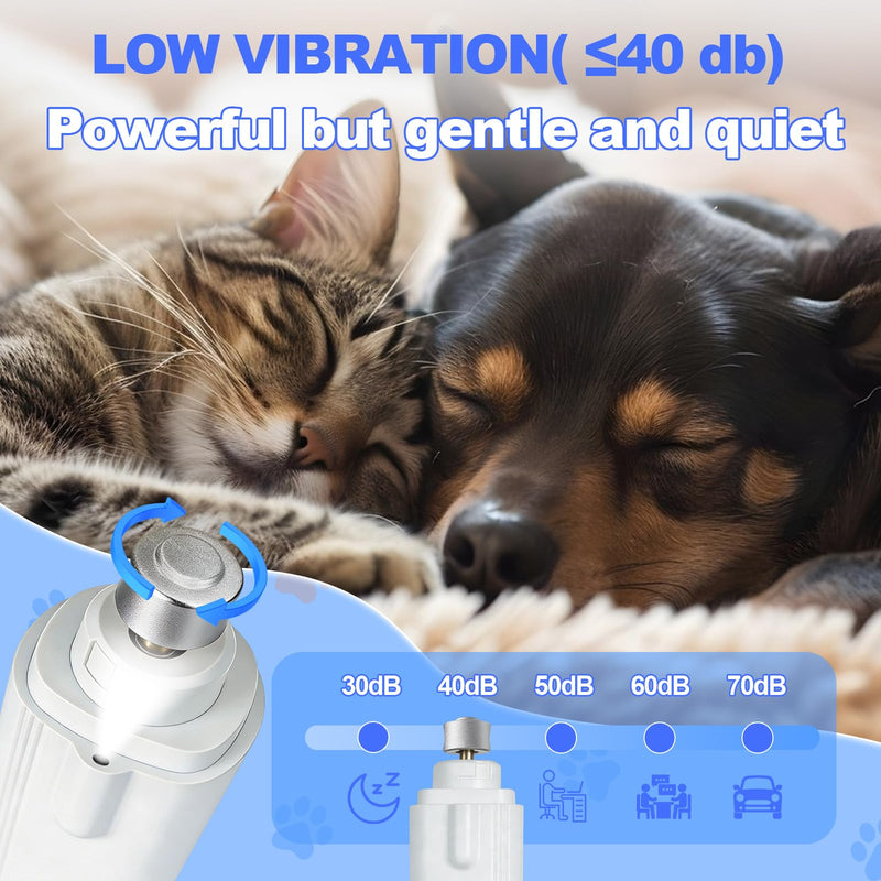 2-in-1 Dog Nail Clippers with Light - Electric Pet Nail Grinder Quiet for Small Large Dogs & Cats, LED Prevent Over Cutting, USB-C Rechargeable Safety Guard Grooming Kit for Black Nails 1PCS - BeesActive Australia