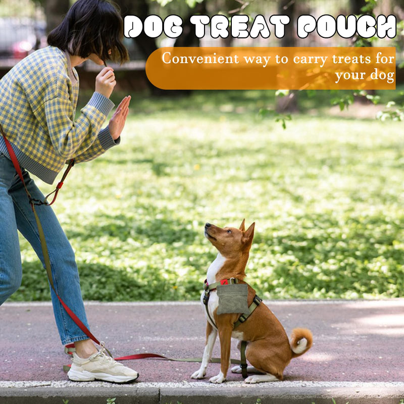CONLI Dog Treat Pouch Portable Treat Pouches for Pet Training, Dog Training Treat Pouch with Carabiner, Auto Closing Pet Feed Snack Reward Pocket for Pet Travel or Outdoor Use Green - BeesActive Australia