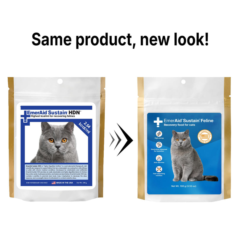 Sustain Feline Recovery Food for Cats 100 g 3.53 Ounce (Pack of 1) - BeesActive Australia