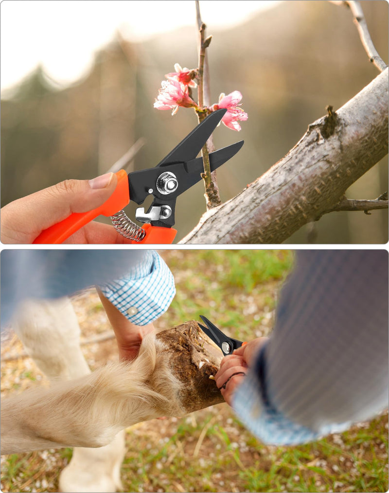 QWORK Hoof Trimmers Goat Hoof Trimming and Mini Rasp Hoof File, 7" Multipurpose Nail Scissors Daily Trim and 5" Rasp for Pig Trotters, Sheep, Alpaca, Lamb and Pruning Potted Plants - BeesActive Australia