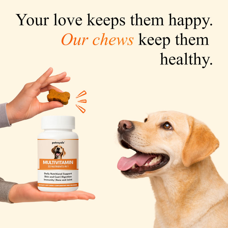 Petroyale 22 in 1 Dog Multivitamin Chews - Taurine Dog Multivitamin & Taurine Supplements for Dog - Dog Vitamins & Supplements for Joints, Skin, Coat & Immunity - Daily Multivitamin - 50 Soft Chews 50 Chew