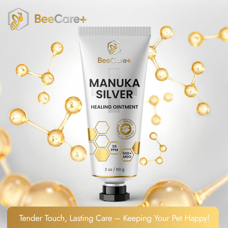 Manuka Honey Ointment 500+ MGO – Dog Hot Spot Treatment for Scratches, Burns, Irritations – Cat Wound Care with 55-PPM Colloidal Silver for Dogs – Manuka + Silver Healing Ointment in a 2-oz Tube Manuka Silver Ointment 2 Fl Oz x 1