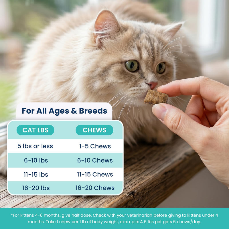 Flea Treatment for Cats 500 Treats Natural Flea and Tick Prevention Supplement for All Cats - Skin & Coat Care, Immune System Boot, Digestive Gut Health, Daily Oral Flea Supplement Chicken Flavor