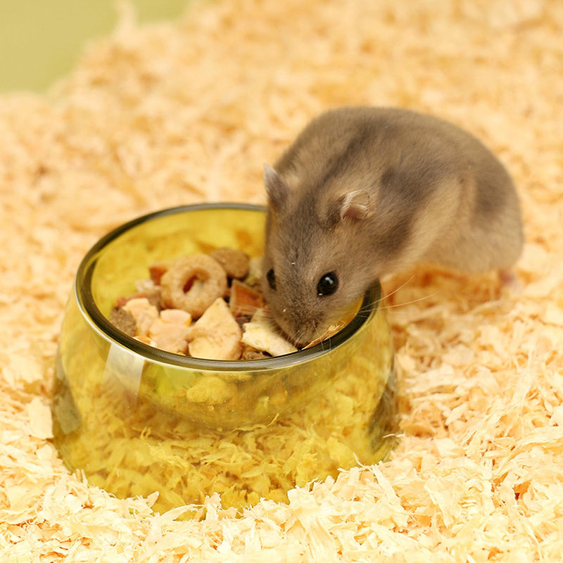 Hamster Food Bowl,Small Animals Food Water Bowl,Water Feeder Container, Hamster Bowls Dwarf Hamster Food Bowl,Hamster Feeding Bowl for Dwarf Hamsters,Mice,Small Animals 3pcs - BeesActive Australia