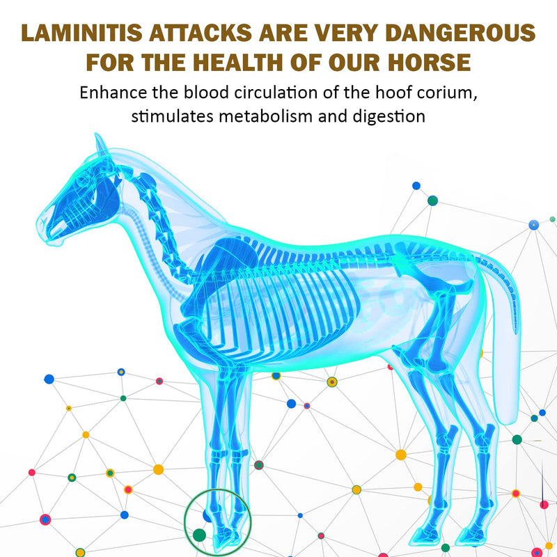 V-POINT - Laminitis Ease - hoof supplements for horses - horse hoof care product based on natural herbal powder - Ideal for hooves Health and Conditioning (1.0 lb) - BeesActive Australia