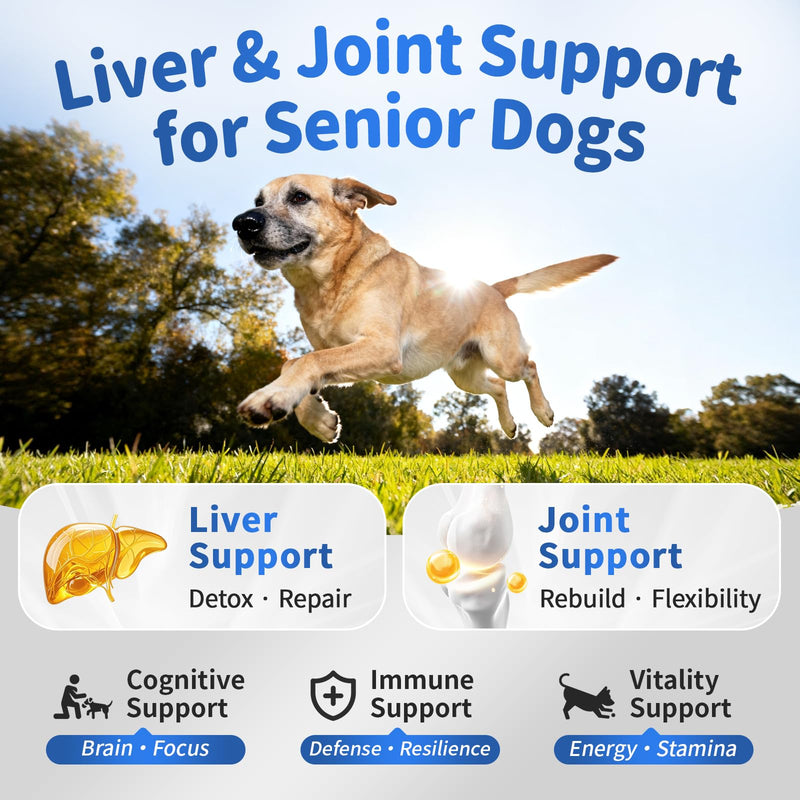 Senior Dog Liver & Joint Supplement – Same, Milk Thistle (Silybin), Glucosamine, MSM for Liver Health Detox, Mobility, Joint Pain Support, Cognitive & Vitality Support, Beef Flavor, 90Ct 90 Count (Pack of 1)