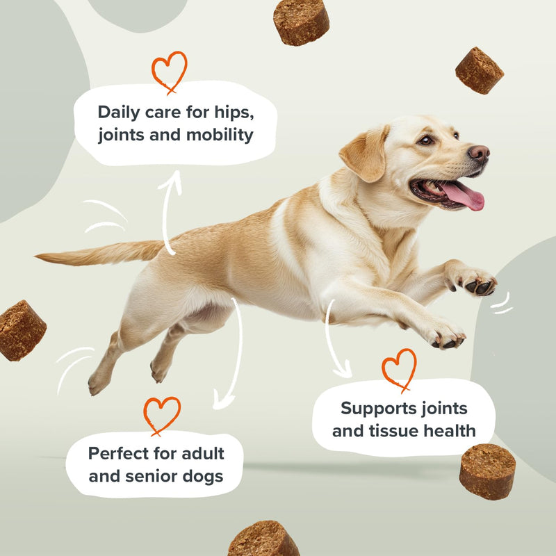 Joints & Mobility Soft Chew Dog Supplements - Daily Care for Hips, Joints and Mobility with Glucosamine, Phytodroitin, MSM, Vitamin C, Omega 3 EPA & DHA – 60 Soft Chews 60 Chews