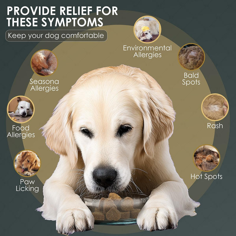Dog Allergy Chews, Itchy Skin Relief for Dogs & Immune Support Anti Itch Probiotics for Yeast, Itchy Ears, Vitamins for Seasonal Allergies, Gut Health, Chicken 200 Chews