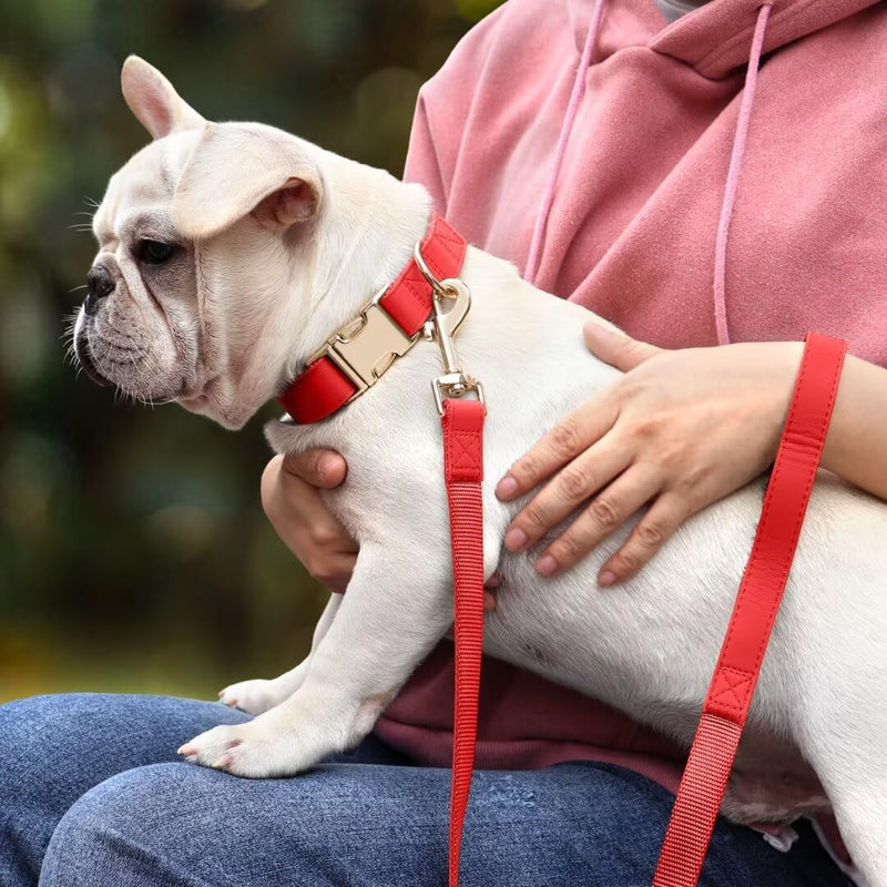 PET ARTIST Leather Dog Leash, Colorful Leather Leash 5ft by 3/4in, Heavy Duty Dog Leash with Aluminum Hook, Walking and Training Dog Leashes for Small Medium Large Dogs,Red Red - BeesActive Australia