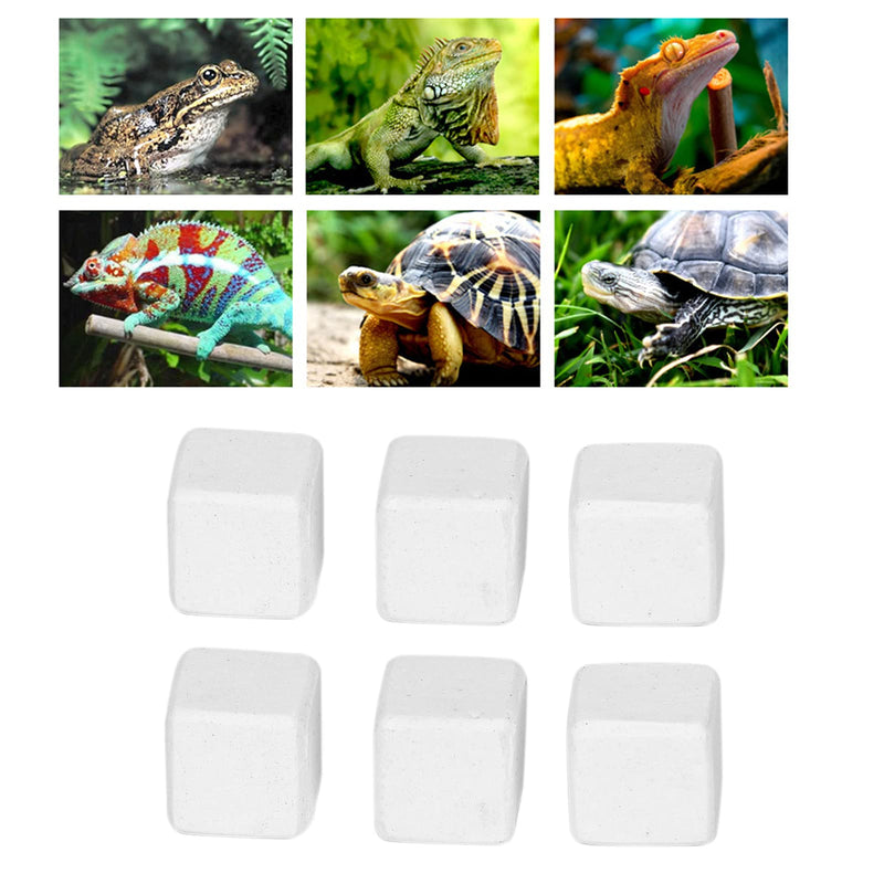 Aquarium calcium stone, turtle stone is rich in trace elements calcium for snails for reptiles for turtles for terrestrial animals for daily use - BeesActive Australia