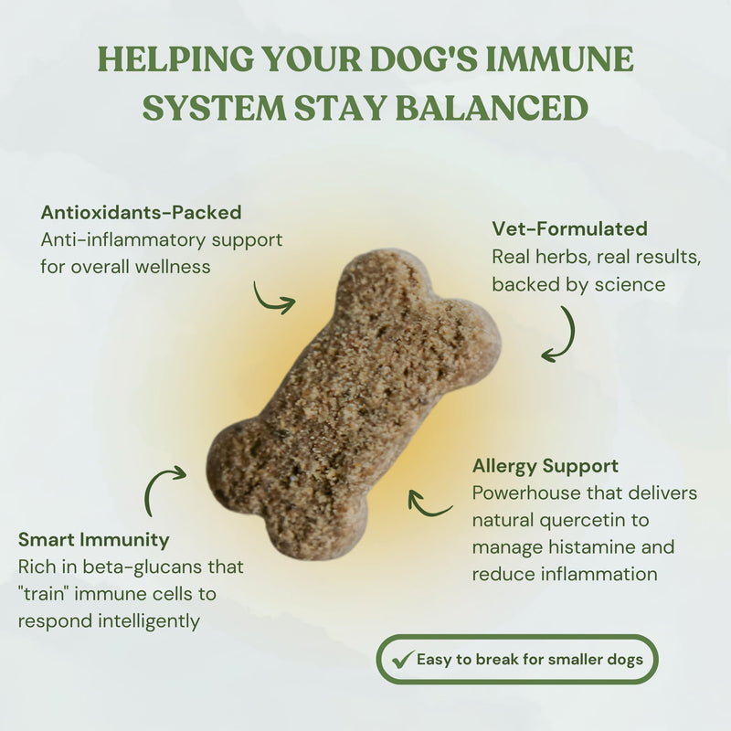 Flower Power Healthy Dog Treats - Mushroom Supplement Chews for Dogs with Reishi Mushroom & Antioxidants - Vet Formulated Vegan Peanut Butter Treats, 2 Pack Flower Power 4 Ounce (Pack of 2)