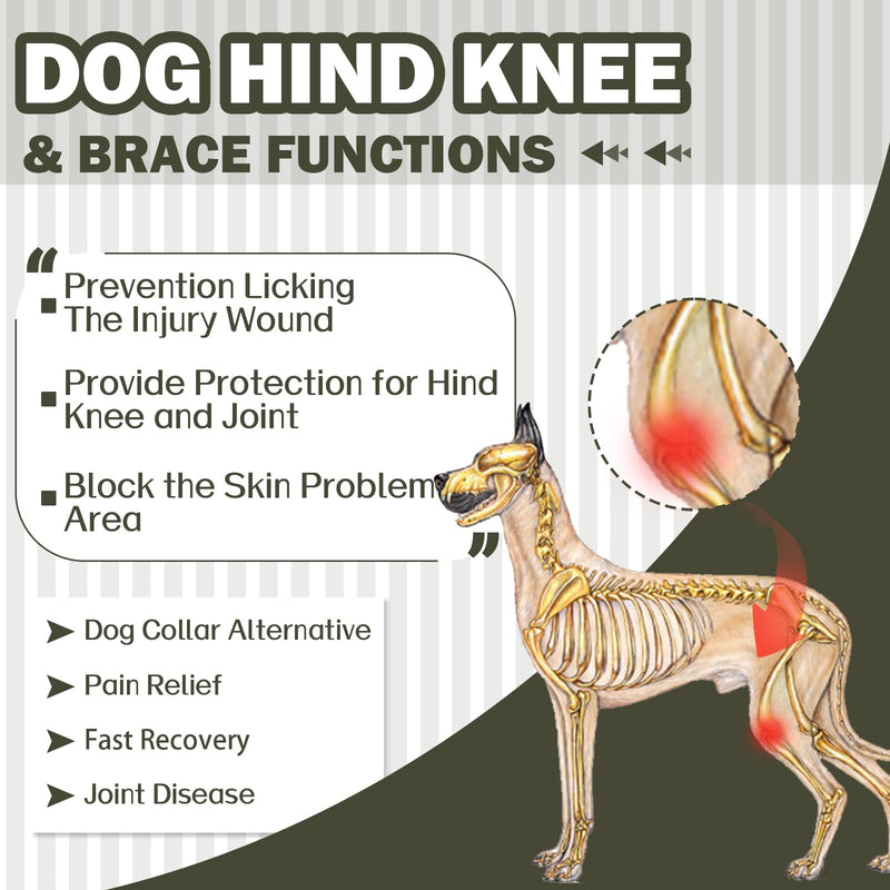 ROZKITCH Recovery Suit for Dogs Rear Legs, Pet Sleeve to Prevent Licking Wound Elbow Protector, Dog Recovery Suit Cone Collar Alternative for Sprain ACL CCL Arthritis Joint Care Green S ArmyGreen
