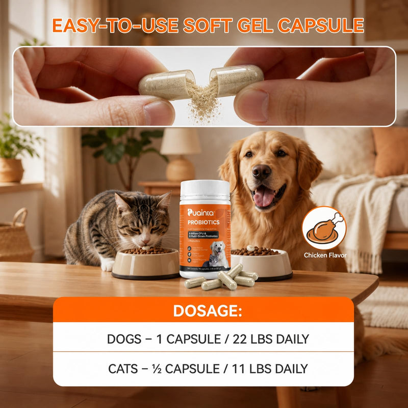 PUAINTA Probiotics for Dogs & Cats – 8-Strain Probiotic with Prebiotics for Digestive & Gut Health, Immune & Stool Support, Helps Dogs Eating Dirt, Grass & Non-Food Items (90 Count) 90 Count