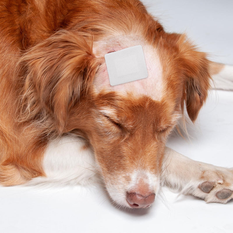 16 PCS Dog Tail Protector Dog Ends Starter Pack Including 10 Breathable Mesh Dog Tail Dressing 5 Gauze and 1 Roll Self-Adhesive Pet Bandage Vet Wrap for Dogs Cats Other Pets Animals - BeesActive Australia