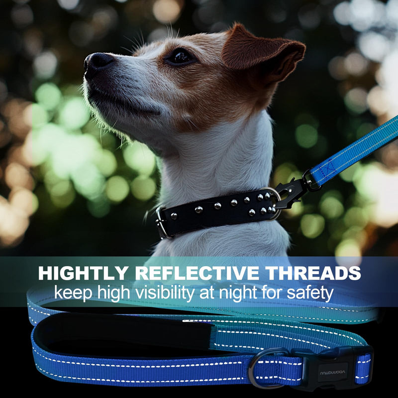 Heavy Duty Hands Free Dog Leash with Quick Release Carabiner and Adjustable No Pull Bungee Dog Running Waist Leash，for Walking and Training with Car Seat Belt 4-6FT (Aquamarine) Aquamarine - BeesActive Australia