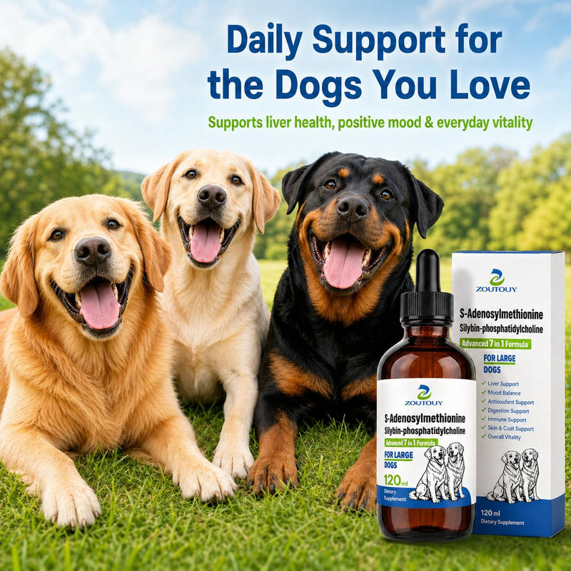 Same for Dogs Liquid Drops with Silybin, Milk Thistle, Choline, Artichoke, Dandelion & Curcumin, Dog Liver Support Supplement, Positive Mood & Daily Wellness Formula,Same for Dogs Liquid (120ml) 120ml