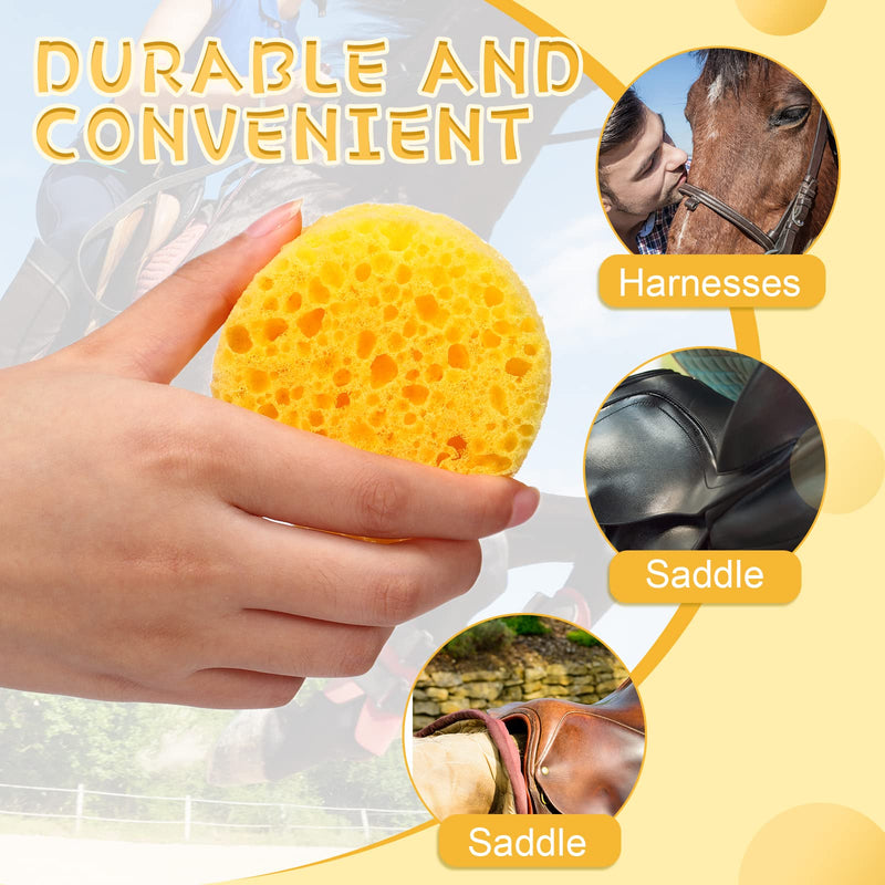 30 Pcs Tack Cleaning Sponges Horse Saddle Sponge Tack Sponges for Leather Saddle Horse Supplies Boot Crafts Ceramics Household Use and More, Medium Hole Round, 2.83 x 1.18 Inches - BeesActive Australia