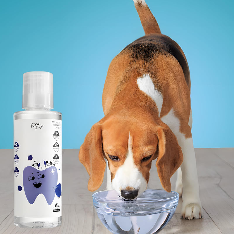 2 Pair Pawbright Dental Plus,Gentle,Promote Healthy Gums and Fresh Breath,Easy Daily Use for Pets,Effective Tartar Removal (Dog)