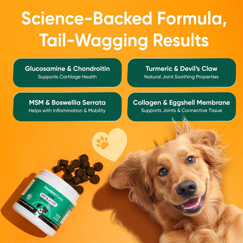 Hip and Joint to Supports Bone, Cartilage & Connective Tissue & Multi-Function to Support Joint Mobility, Skin, Coat & Immune System, Bundle for Dogs