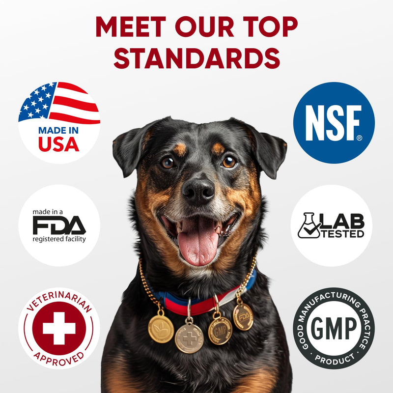 Probiotics for Dogs Digestive Health - Probiotic Chews for Gut Health, Itchy Skin Yeast, Diarrhea - USA Product - Immune Support Supplement - Dog Digestive Support & Allergy Relief Chews with Enzymes Probiotic & Enzymes Chews