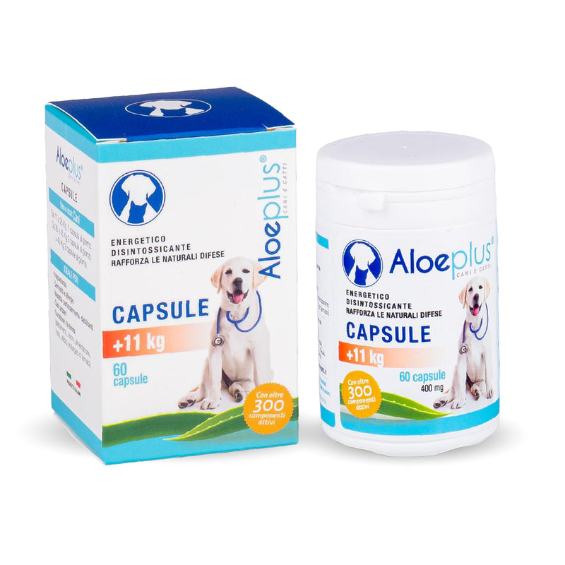 Capsules Dietary Supplement for Dogs Weighing 11+ kg. - Natural Supplement Based on Aloe arborescens - Stimulates The Immune System - for The Well-Being of Dogs Weighing 11 kg and up.