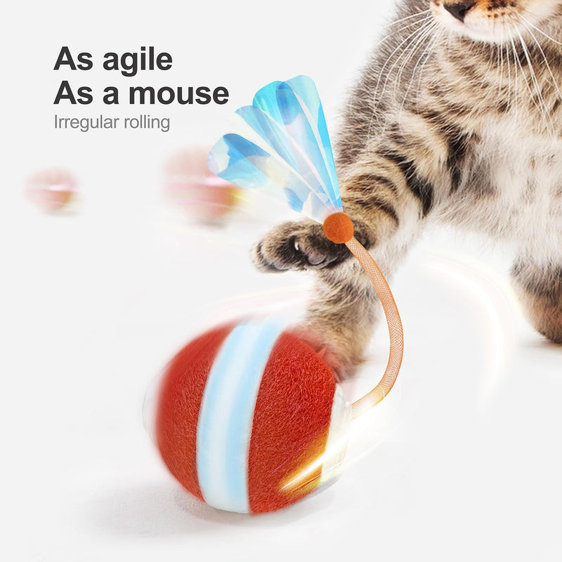 Interactive Cat Toys for Indoor Cats,The 3rd Generation Agile Moving Cat Ball with Elastic Mesh Tail,Automatic Cat/Kitten Toys for Bored Indoor Adult Cats,Motion Activated Orange - BeesActive Australia