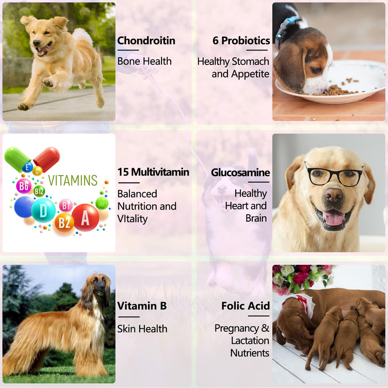 Dog Multivitamin, 15 in 1 Multivitamin for Dogs, Dog Vitamins Liquid Supplements Drops for Hip & Joint, Skin & Coat, Immune, With Glucosamine and MSM