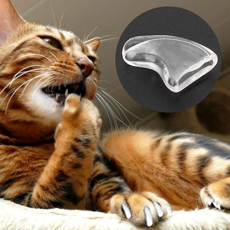 Zerodis Pack of 100 Cat Nail Cover Protector, Soft Pet Nail Cover Safe Anti Scratch Dog Paw Claw Protector Covers Claw Care for Cats Dogs (M-White) M white - BeesActive Australia