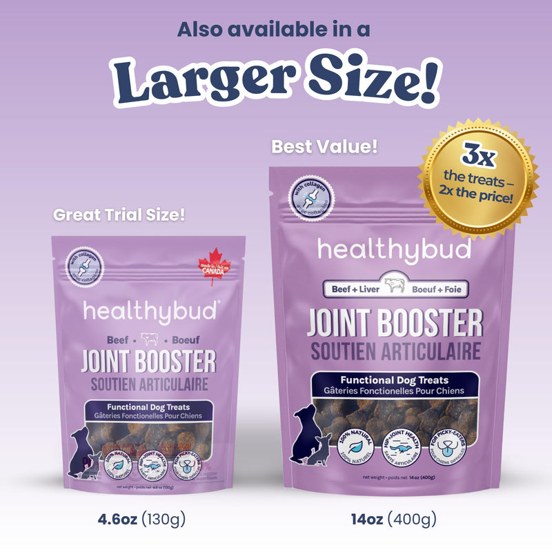 healthybud Hip & Joint Soft Chews for Dogs – Grain-Free Functional Dog Treats with Glucosamine, Chondroitin & Green Lipped Mussel – Daily Mobility Support – for All Ages & Breeds – 130 g (4.6 oz) 4.6 Ounce (Pack of 1)