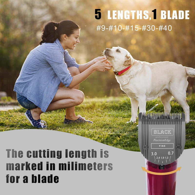 Adjustable 5 in 1 Blades Dog Grooming Blades Compatible with Wahl Animal Clipper Arco, Bravura, Chromado, Creativa, Figura, and Motion Pet, Dog, and Horse (BLACK/1PC) BLACK/1PC - BeesActive Australia