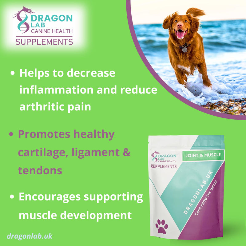 Joint & Muscle Supplement for dogs | OLD DOGS | ARTHRITIS | MUSCLE REPAIR | PROTECT JOINTS | ACTIVE DOGS | HIP DYSPLASIA