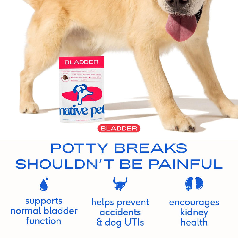 Native Pet Skin & Urinary Wellness Bundle: Bladder Chews for Dogs (30 Air-Dried Chews) & Allergy Chews for Dogs (30 Air-Dried Chews) - UTI Treatment & Prevention Plus Allergy Relief
